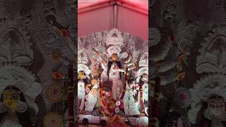 Durga Mata aagman virajan 2024 durgaamma durgapuja durga durgammakolupusong dasara [upl. by Elttil]