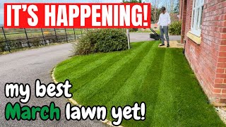 Why does this LAWN look so GOOD The EARLY spring lawn care is paying off [upl. by Nagam]