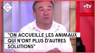 Les restos du coeur pour animaux  Patrick Violas  C à Vous  10042023 [upl. by Nell313]