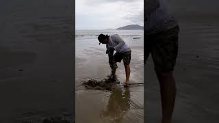 Beach cleanup with Yo Amo Mi Playa Limpia ecuador playa machalilla [upl. by Defant]