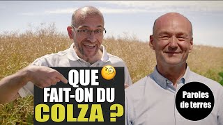 Les débouchés du colza vous saurez tout  Paroles de Terres  Saison 3 9 [upl. by Ykcub]