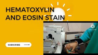 Hematoxylin and eosin stain procedure  H and E stain histopathology stain [upl. by Cortie]