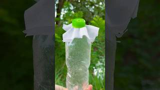 Diy Water Filter  Water Filter Experiment  How To Filter Dirty Water 💧 survival camping forest [upl. by Jada52]