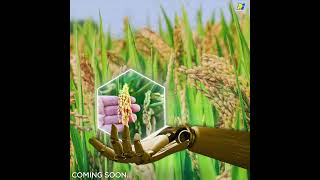 New Broadspectrum insecticide by PI Industries  Crop protection  Ricecrop comingsoon [upl. by Marleen]