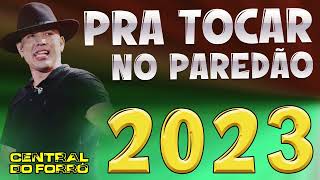 JAPÃOZINHO CD 2023  PRA TOCAR NO PAREDÃO  MÚSICAS NOVAS TOP [upl. by Feliks]