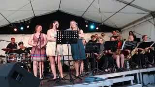 MSL Big Band  Zwickau [upl. by Heater]