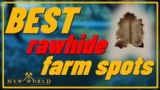 Best Farming Locations and Tips Ultimate Rawhide Farming Guide in New World 2023 [upl. by Otreblig]