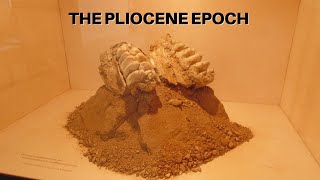 The Pliocene Epoch [upl. by Aivalf719]