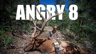 Angry 8 I Archery Elk Hunt [upl. by Nwaf]