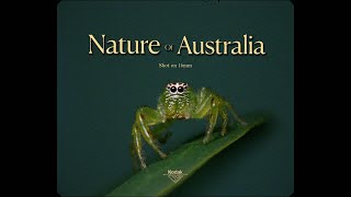 Kodak 16mm film  Nature of Australia [upl. by Launcelot565]