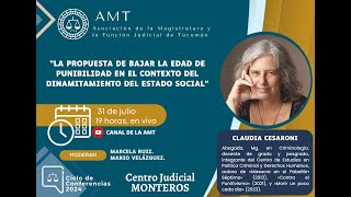 La propuesta de bajar la edad de punibilidad en el contexto del dinamitamiento del estado social [upl. by Nnayt]