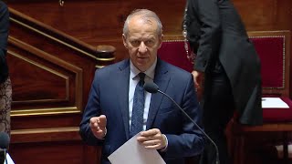 Prix de l’électricité  le Sénat veut sortir les ménages les plus aisés des mesures de soutien [upl. by Berget775]