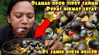 SIPUT SAWAH BUMBU OPOR KUAH PEDAS HASIL ALAM [upl. by Parsifal]