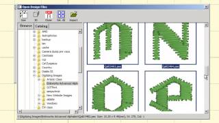 EmbroideryWorks Advanced  Importing Fonts [upl. by Gusti]