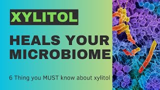 Xylitol Part II How Xylitol heals your Microbiome [upl. by Eillam732]