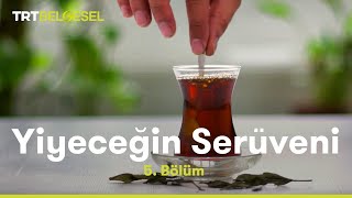 Yiyeceğin Serüveni  Çay  TRT Belgesel [upl. by Sinned]