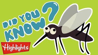 Did you know this about mosquitoes  Highlights Kids  Full Episode  Kids Videos [upl. by Lyrradal]