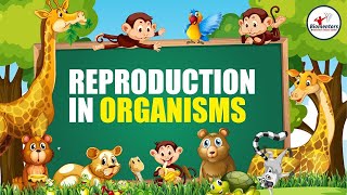 Reproduction in Organisms I Lecture 4 l Biology l NEET [upl. by Willette]