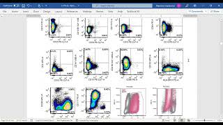 Pure Erythroid Leukemia [upl. by Inaluiak]