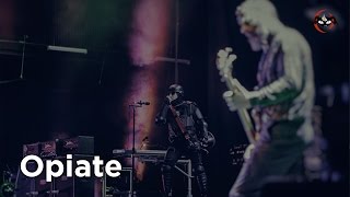 Tool  Opiate Sub Español Live 2016 [upl. by Yobybab]