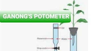 GANONGS POTOMETER [upl. by Yrrem]