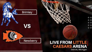 Girls Basketball  Newberry vs Brimley [upl. by Salta]