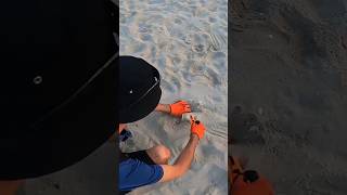 TROVO UN REPERTO STORICO IN SPIAGGIA 🏖️ metaldetecting ritrovamenti metaldetector [upl. by Klarrisa951]