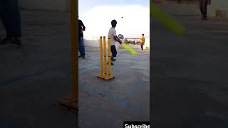 cricket bobbyuhh cricketlover flip stunt backflip bobby4uhh cricketlove elvishyadav [upl. by Ling215]