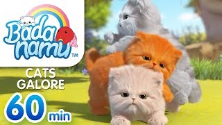 Cats Galore  Badanamu Compilation l Nursery Rhymes amp Kids Songs [upl. by Maximilian454]