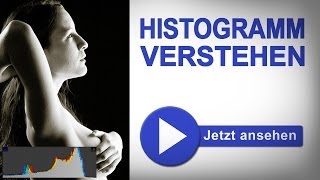 Das HISTOGRAMM einfach verstehen  Fotografieren Lernen [upl. by Danielle]