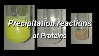 Precipitation Reactions of Proteins  Biochemistry [upl. by Esineg]