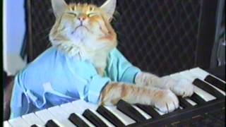 KEYBOARD CAT ORIGINAL CLIP 1984 [upl. by Ennazor]