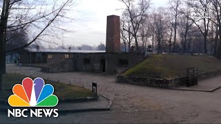 Auschwitz Survivors Return To Death Camp 75 Years Later‌  NBC Nightly News [upl. by Ahseikram]