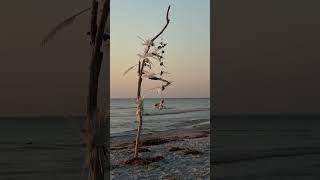 Hiddensee evening beach travel vacation [upl. by Alexei209]