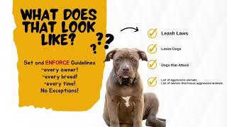 Breed Specific Legislation vs Owner Responsible Laws [upl. by Navoj939]