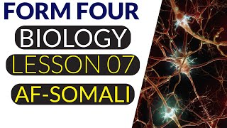 FORM FOUR  BIOLOGY  LESSON 7  THALAMUS  AFSOMALI [upl. by Hsihsa]