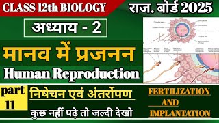 L 10 निषेचन किसे कहते हैं।  Fertilization  human reproduction [upl. by Eceirehs]