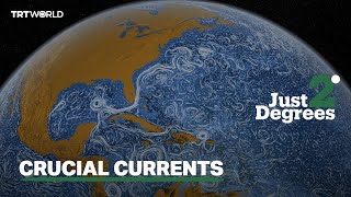 JUST 2 DEGREES WHAT HAPPENS IF THE GULF STREAM COLLAPSES [upl. by Evaleen]