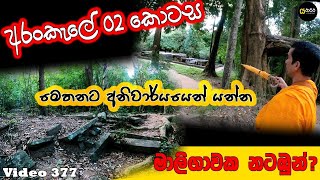 අරංකැලේ කිව්වට පුරාණ ගොඩනැගිලි දෙබෑකරගෙන රූස්ස ගසුත් පැළවෙලා arankale yathartha siwhela [upl. by Aeriell]