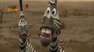 DreamWorks Madagascar  Alex and Marty Best Friends  Madagascar Funny Scenes  Kids Movies [upl. by Rentsch]