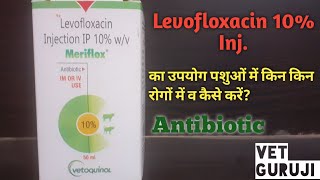 Levofloxacin 10 Inj का उपयोग पशुओं में किन किन रोगों में व कैसे करें सम्पूर्ण जानकारी स्वस्थ पशु [upl. by Mavilia153]