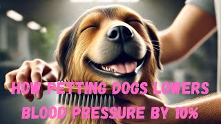 How Petting Dogs Lowers Blood Pressure by 10 [upl. by Yntruoc993]