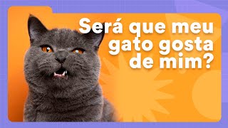 Como saber se o gato gosta de você  Petz TV Comportamento [upl. by Dyoll]