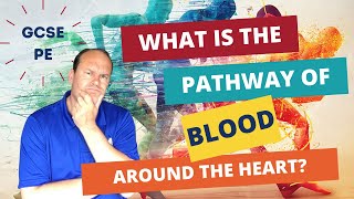 GCSE PE What is the pathway of blood around the heart [upl. by Hilton]