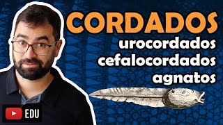 Urocordados Cefalocordados e Agnatos  Cordados Aula 27  Módulo VI Zoologia  Prof Gui [upl. by Annahahs]