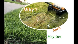 Lawn Care in Spring  Scalping My Zoysia Lawn  Why and How  Texas  DIY Lawn [upl. by Yrahk]