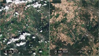 Satellitenbilder zeigen Dürre rund um Berlin im Vergleich 20172018 [upl. by Rothschild]