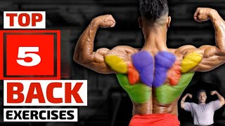 Best back workout 💀😮 Top 5 back workout Hindienglish [upl. by Ydnolem856]