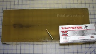 Winchester Super X 223 Jacketed Soft Point 55 grain [upl. by Nelyag]