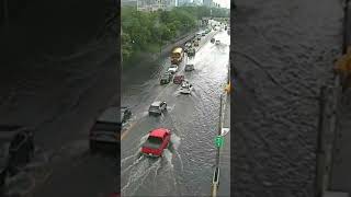 Remnants of Beryl floods Torontos Lake Shore Blvd [upl. by Voletta41]